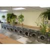 Large Washers and colorful plants
